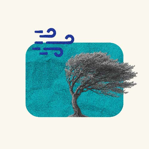 adaptivity & resilience teal sand