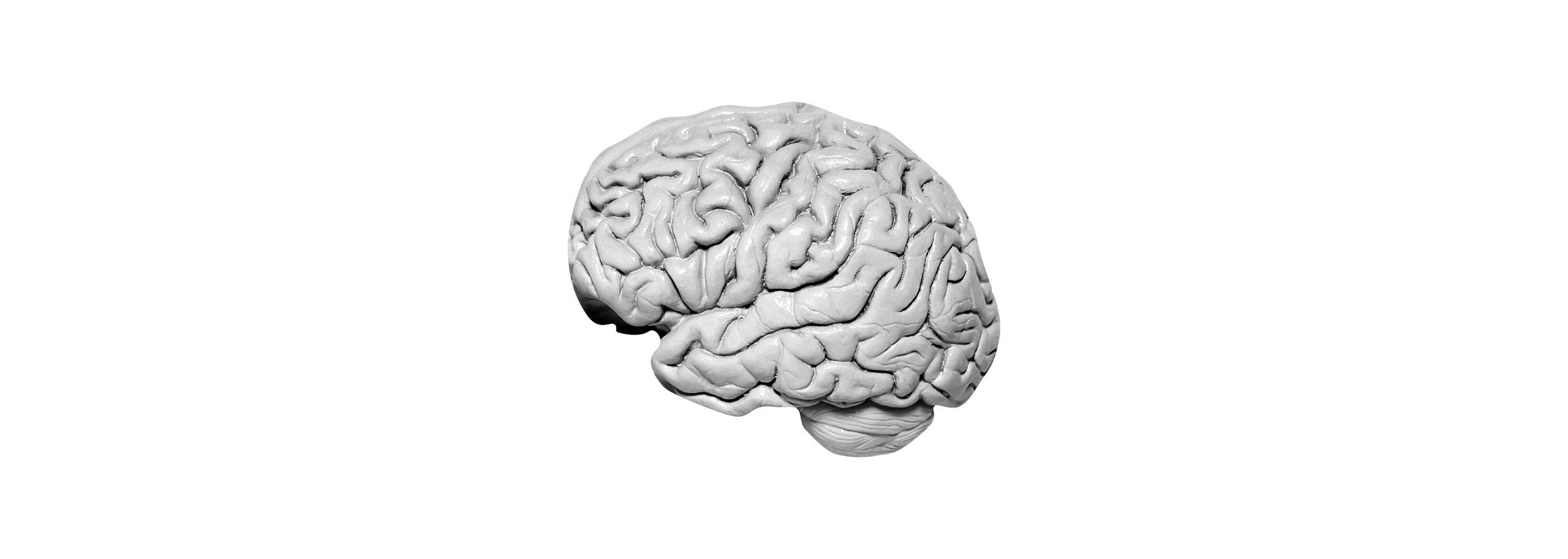 Management Skills: How to Give Constructive Feedback in the Workplace - brain image