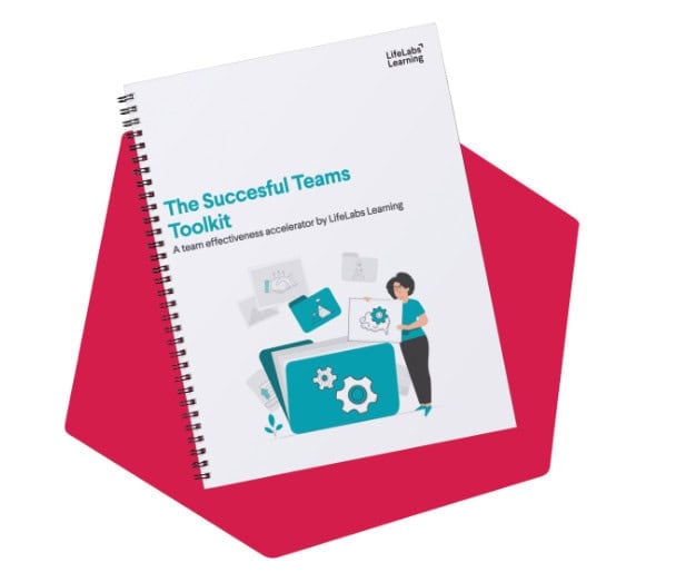 Successful teams toolkit