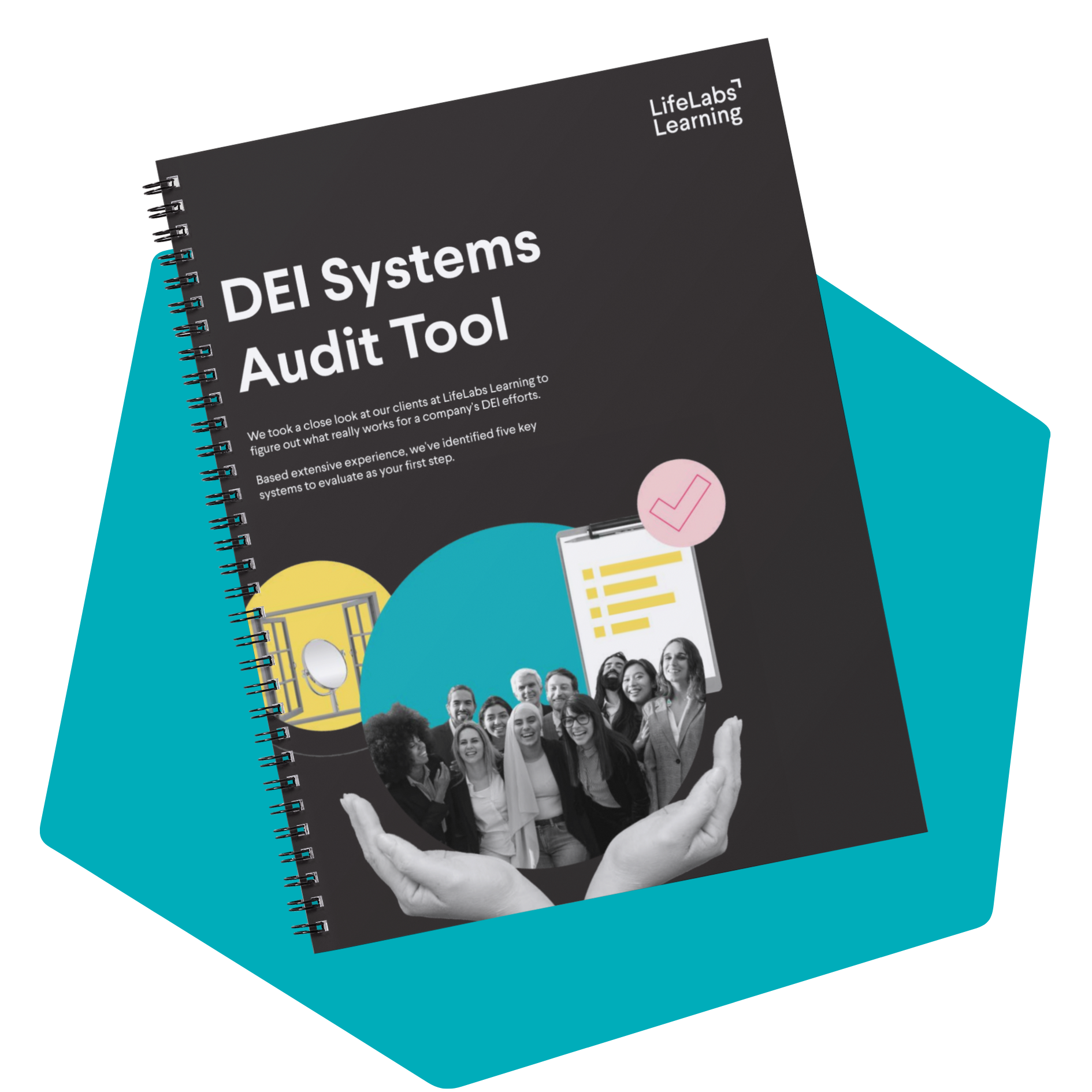 DEI Systems Audit Download