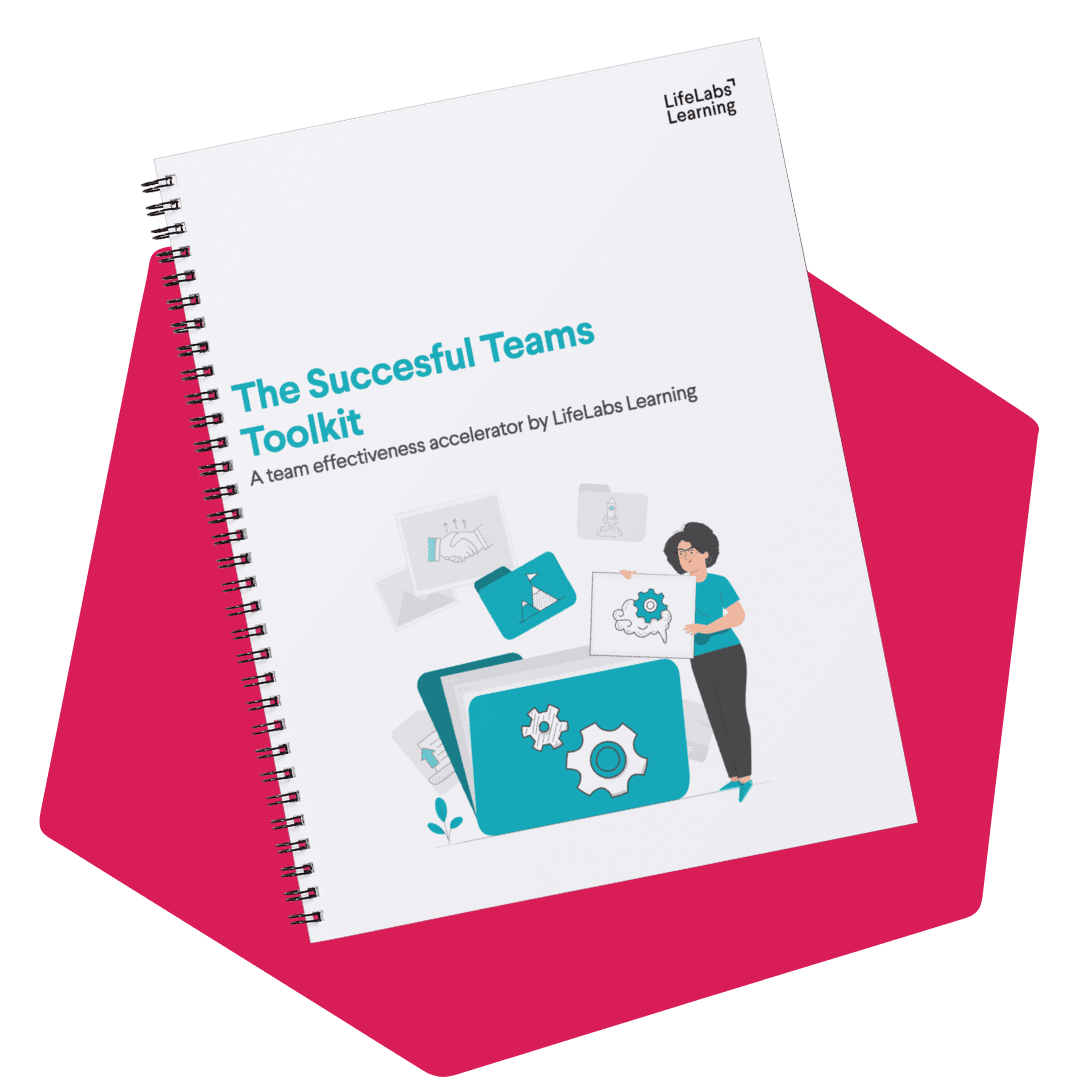 successful teams toolkit download graphic